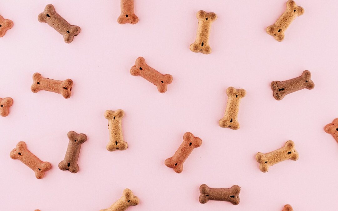 multicolored dog bone toys